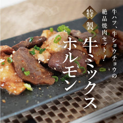 牛ミックスホルモン(2人前)